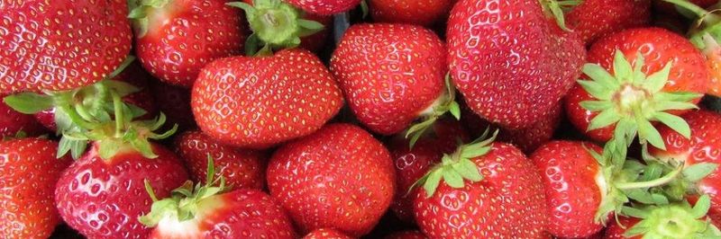 Reeves Farms, LLC - supplier and manufacturer from 미국