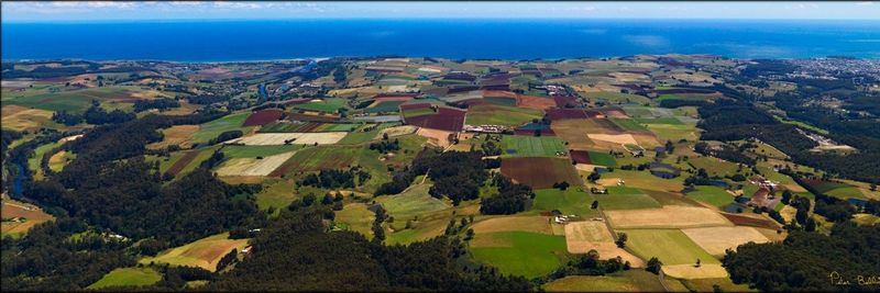 Premium Fresh Tasmania Pty Ltd - supplier and manufacturer from 호주