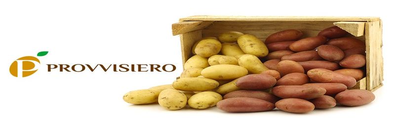 PROVVISIERO S.R.L. - supplier and manufacturer from 이탈리아
