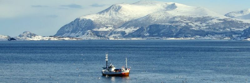 Maloy Seafood AS - supplier and manufacturer from Norway