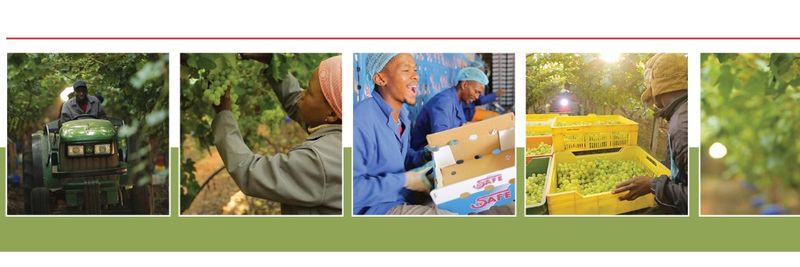 SAFE Farm Exports - supplier and manufacturer from South Africa
