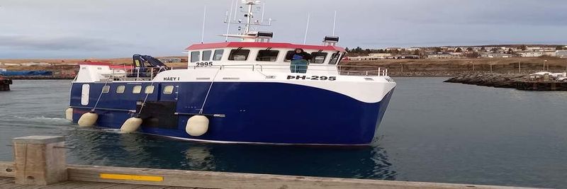 GPG Seafood - supplier and manufacturer from 아이슬란드