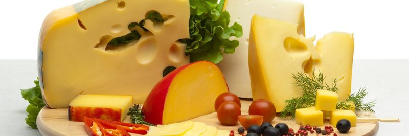 Flavourex Cheese Factory - supplier and manufacturer from 남아프리카공화국
