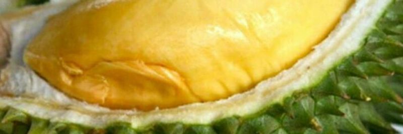 Hajjah Aminah Food Industries Sdn Bhd (HAFI) - supplier and manufacturer from 말레이시아