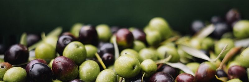 Bell-Carter Foods, LLC - supplier and manufacturer from United States