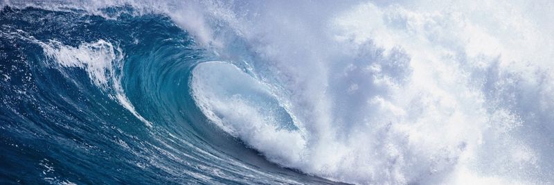 Blue Oceans - supplier and manufacturer from 영국