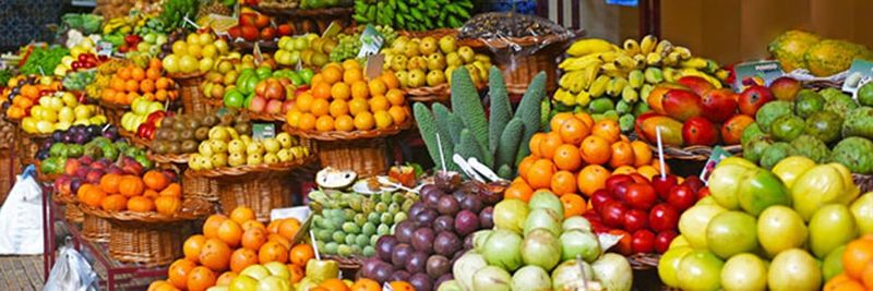 Freshstart Trading - supplier and manufacturer from 파키스탄