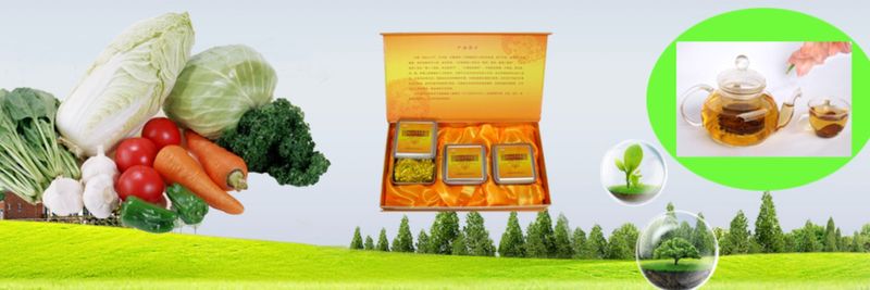 Rizhao Yihe Food Co., Ltd. - supplier and manufacturer from 중국
