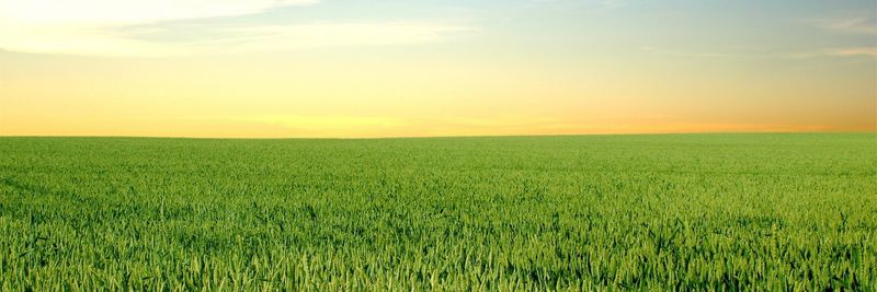 Agro-Graça Lda - supplier and manufacturer from 포르투갈