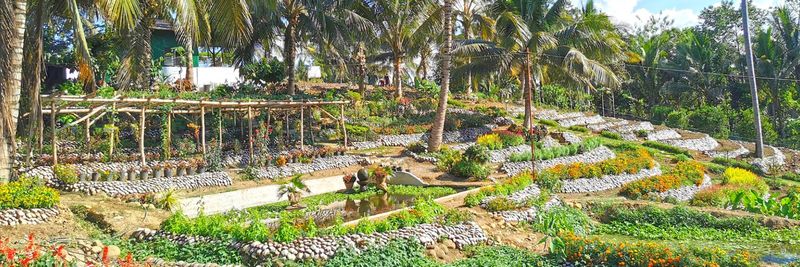 Lao Integrated Farms, Inc. - supplier and manufacturer from 필리핀