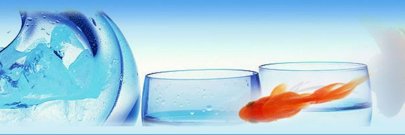Ocean Paradise Marine Products Sdn. Bhd - supplier and manufacturer from Malaysia