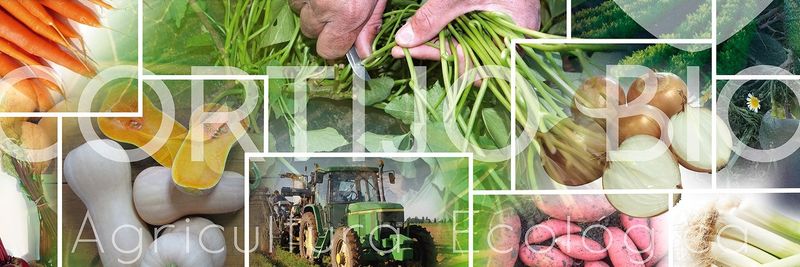 El Cortijo Bio SL - supplier and manufacturer from 스페인