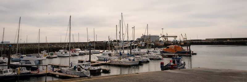 Atlantis of Kilmore Quay - supplier and manufacturer from Ireland