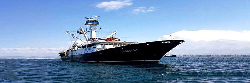AGG - Alfa Gamma Group - Alfa International Seafood - supplier and manufacturer from 미국