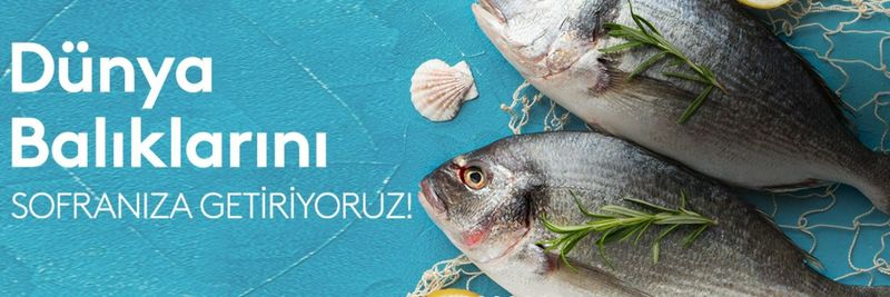 Karadeniz Marine Products - supplier and manufacturer from 튀르키예