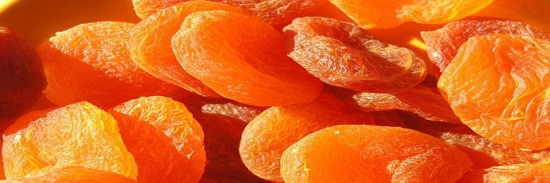 JV Export-Group-Invest - supplier and manufacturer from Uzbekistan