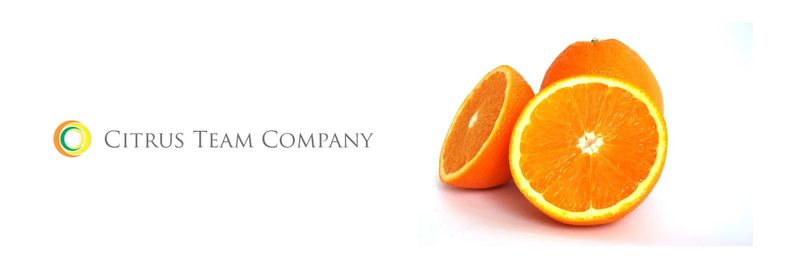 Citrus Team Company, LLC - supplier and manufacturer from 미국