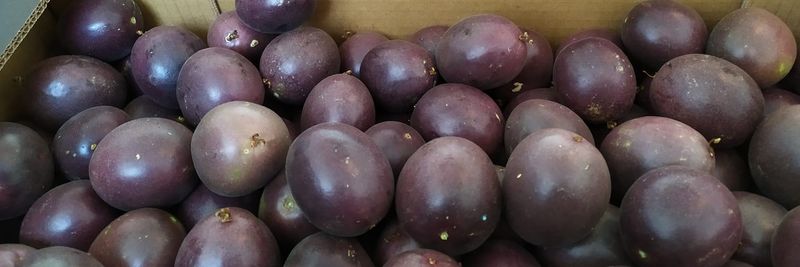 BagaCentro - supplier and manufacturer from 포르투갈