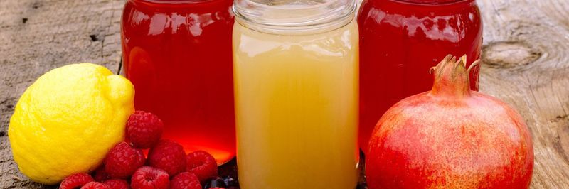 Compassion Kombucha - supplier and manufacturer from 미국