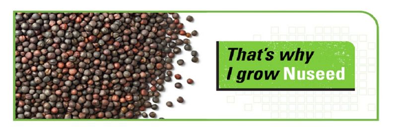 Nuseed Australia - supplier and manufacturer from 호주