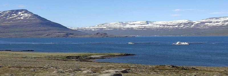 Laxar Fiskeldi - supplier and manufacturer from Iceland