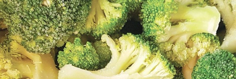 Real Fresh Agriculture - supplier and manufacturer from 이집트