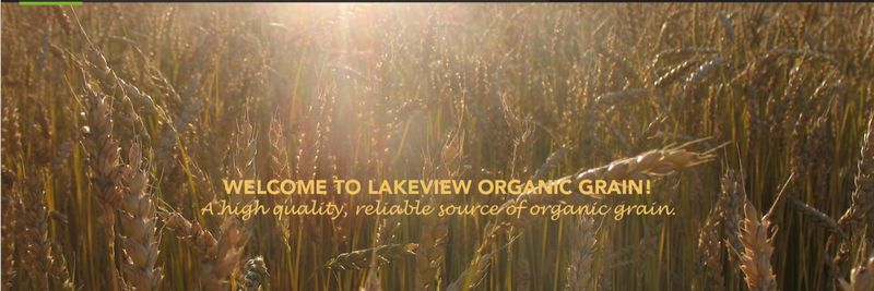 Lakeview Organic Grain - supplier and manufacturer from 미국