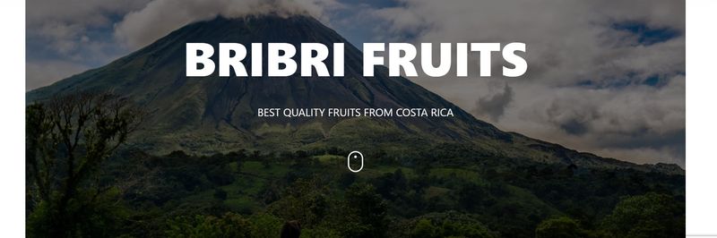 Bribri Import and Export Company - supplier and manufacturer from 스페인