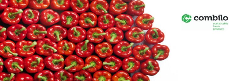 Combilo - supplier and manufacturer from 네덜란드