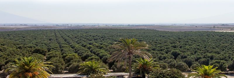 Finca Torrebreva - supplier and manufacturer from Spain