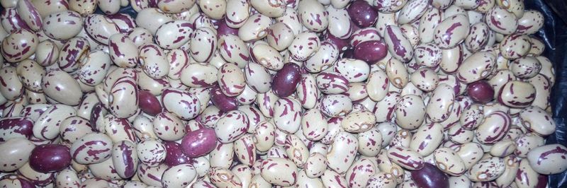 Mbeke Traders Ltd - supplier and manufacturer from 우간다