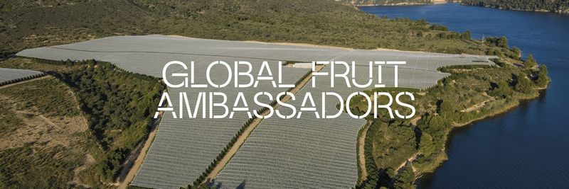 Frutas David SL - supplier and manufacturer from Spain