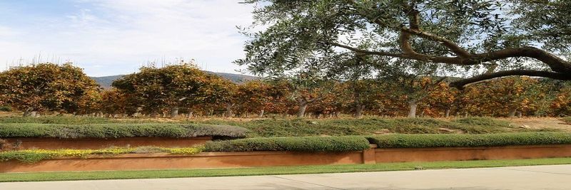 Fuyu Farms LLC - supplier and manufacturer from United States