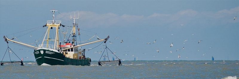Oceanic, Lda - supplier and manufacturer from 포르투갈