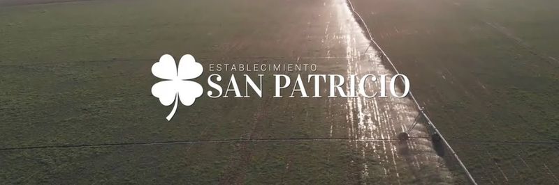 Establecimiento San Patricio S.A. - supplier and manufacturer from 아르헨티나