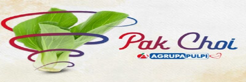 AGRUPAPULPÍ, S.A. - supplier and manufacturer from 스페인