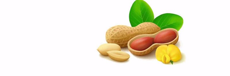 Junan Fuqun Foodstuffs Co., Ltd. - supplier and manufacturer from China