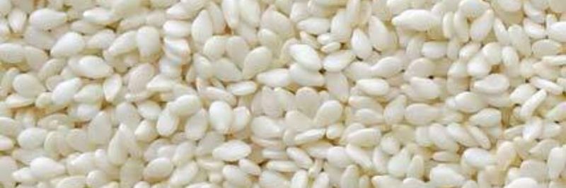 Kanna Agri Impex - supplier and manufacturer from 인도