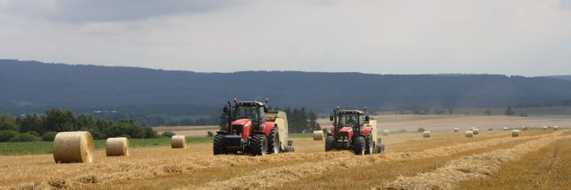 Dylen Farm - supplier and manufacturer from 체코