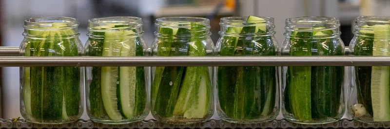 Byler Relish House LLC - supplier and manufacturer from 미국