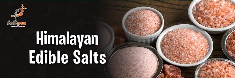 SALTPUR - supplier and manufacturer from 남아프리카공화국
