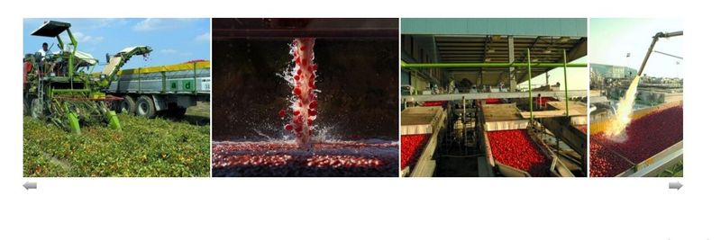 SOLANA - supplier and manufacturer from Italy