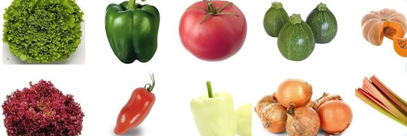 LES LÉGUMES OYÉENS - supplier and manufacturer from 프랑스