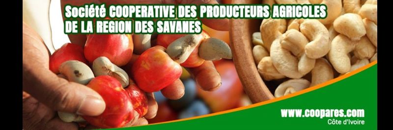 COOPARES - supplier and manufacturer from 코트디부아르