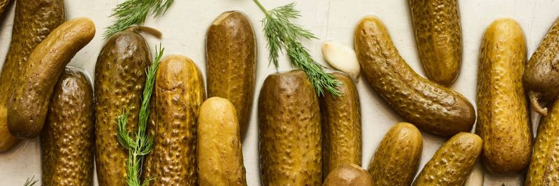 Klein's Kosher Pickle Company - supplier and manufacturer from 미국