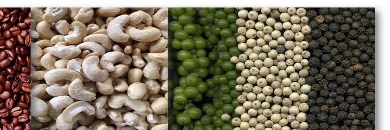 SOUTHERN AGRICULTURAL AND TRADING SERVICE CO., LTD - supplier and manufacturer from 베트남