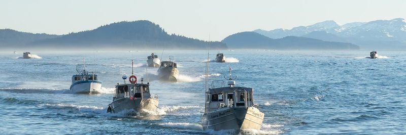 60° North Seafoods - supplier and manufacturer from United States