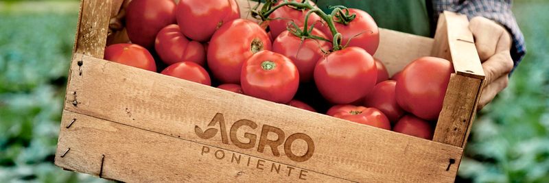 Agroponiente SA - supplier and manufacturer from Spain