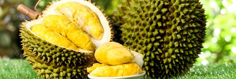 Top Quality Produce, Inc. - supplier and manufacturer from 미국