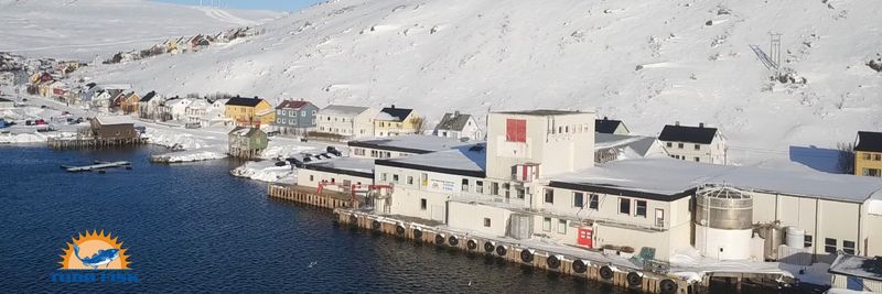 TOBØ FISK AS - supplier and manufacturer from 노르웨이